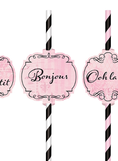 12 Palhinhas Papel A Day in Paris