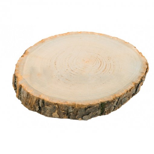 Base de Madeira 30x2cm