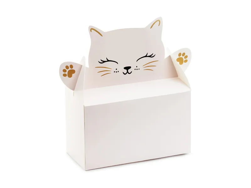 6 Caixas 19.5x8x19cm Gato