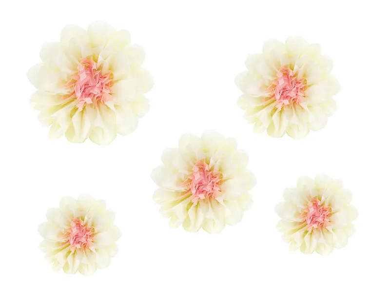 5 Flores Tissue 30-20cm
