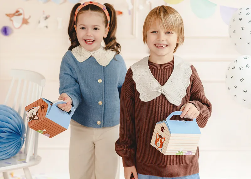 6 Caixas de Cartão 15.5x10x16cm Casota Cães