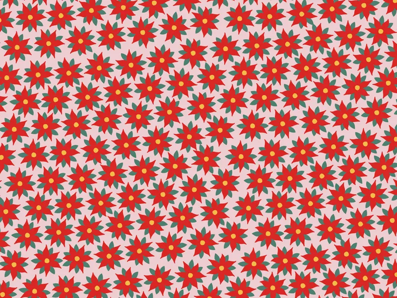 Papel de embrulho 70x200cm Estrela vermelha de Belém Natal