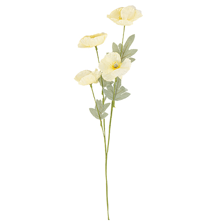 Ramo de Papoilas Creme