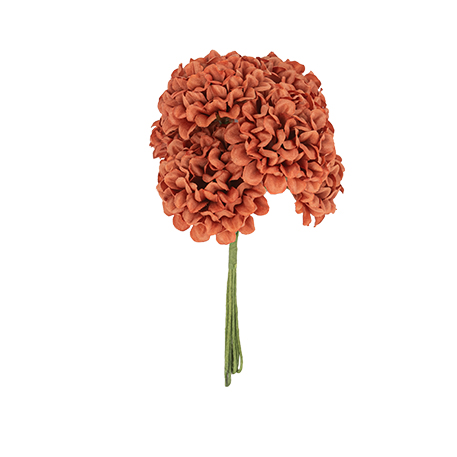 6 Hortênsias 10cm Terracota