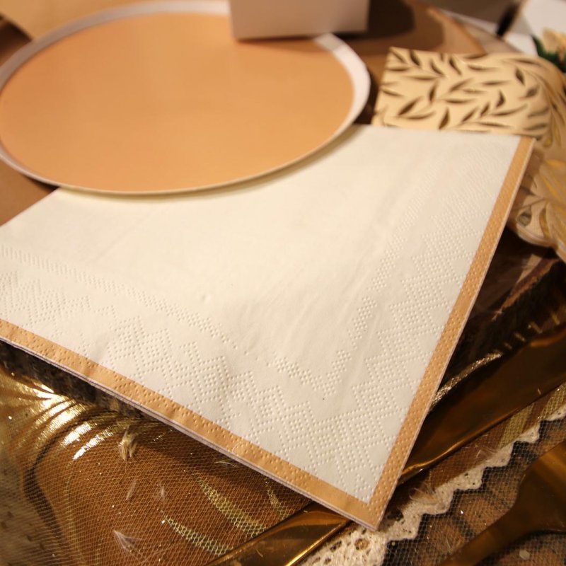 10 Guardanapos 33cm Creme e Camel