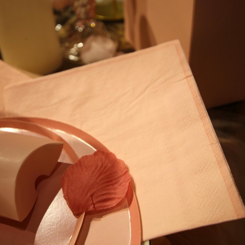 10 Guardanapos 33cm Rosa e Rosa Pó