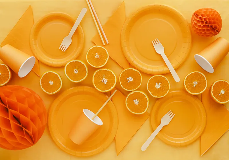 6 Pratos 18cm Laranja