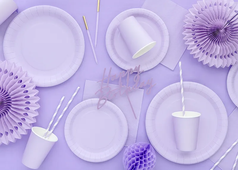 6 Pratos 23cm Lilás