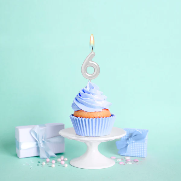 Vela de Aniversário Prateado 6cm nº6
