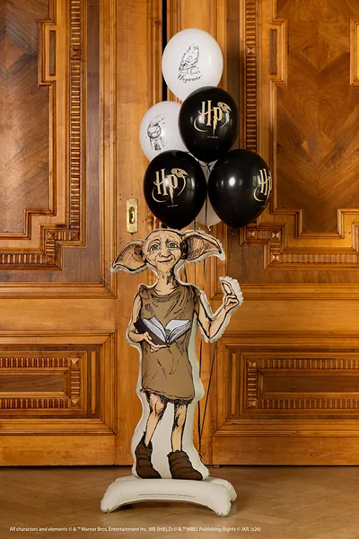 Balão Foil Standing 54x105cm Dobby Harry Potter