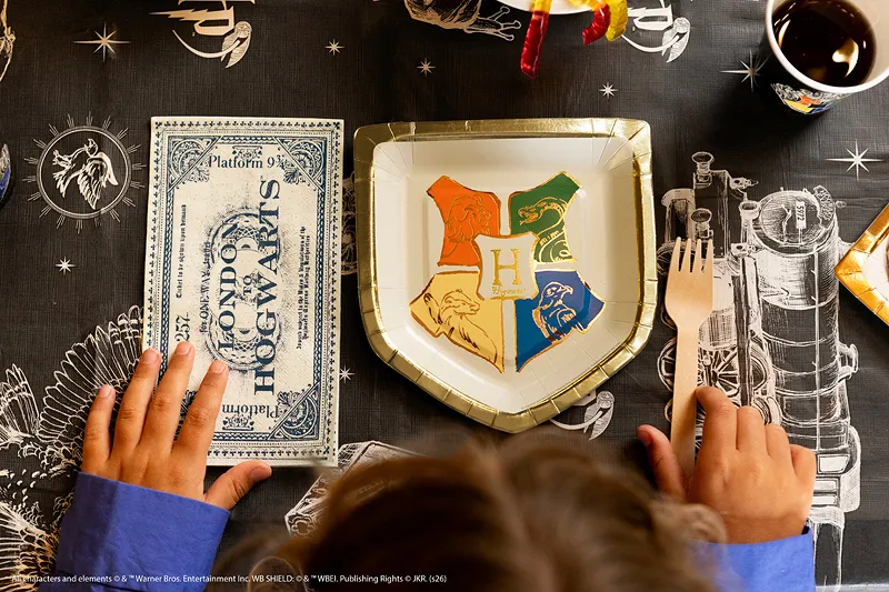 20 Guardanapos de Papel 33x40cm Bilhete Hogwarts Harry Potter