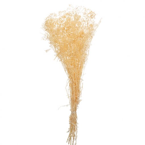 Bouquet de Gypsophila Natural Aprox 50 a 70cm 70g