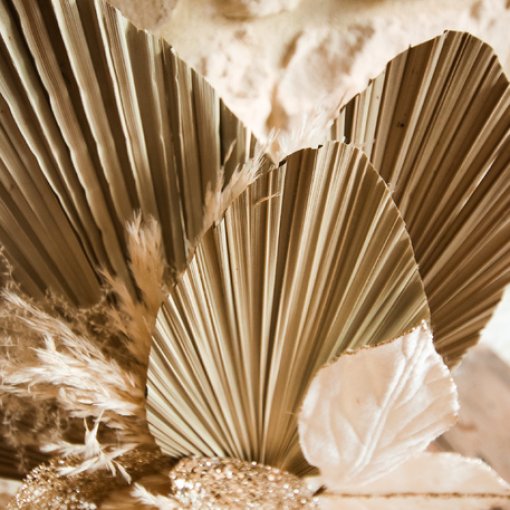 3 Folhas de Palmeira secas naturais 60x15cm