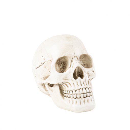 Cabeça de Caveira Decorativa Resina Branca Envelhecida 14x18x11cm