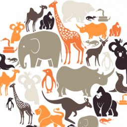 Ver tudo Animais