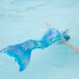 Sereia