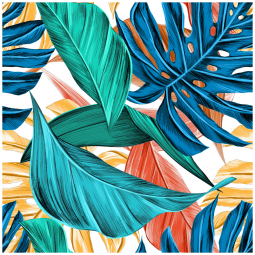  Tropical