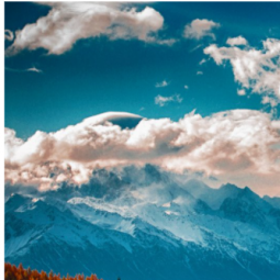 Ver tudo Cowboys & Índios