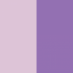 Lilás | Roxo